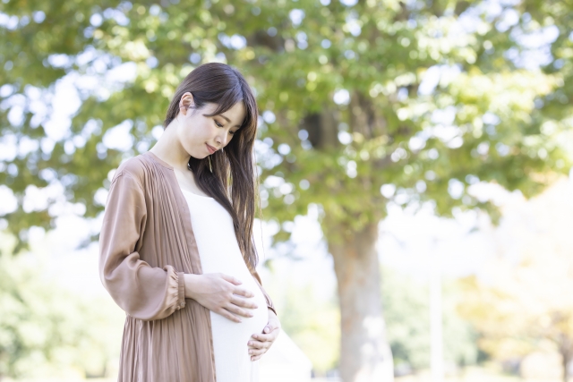 再婚禁止期間の撤廃・摘出推定の見直し？