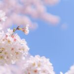 中高年だからこそ輝く、新しい出会いの可能性
